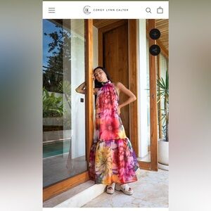 Corey Lynn Calter Dress